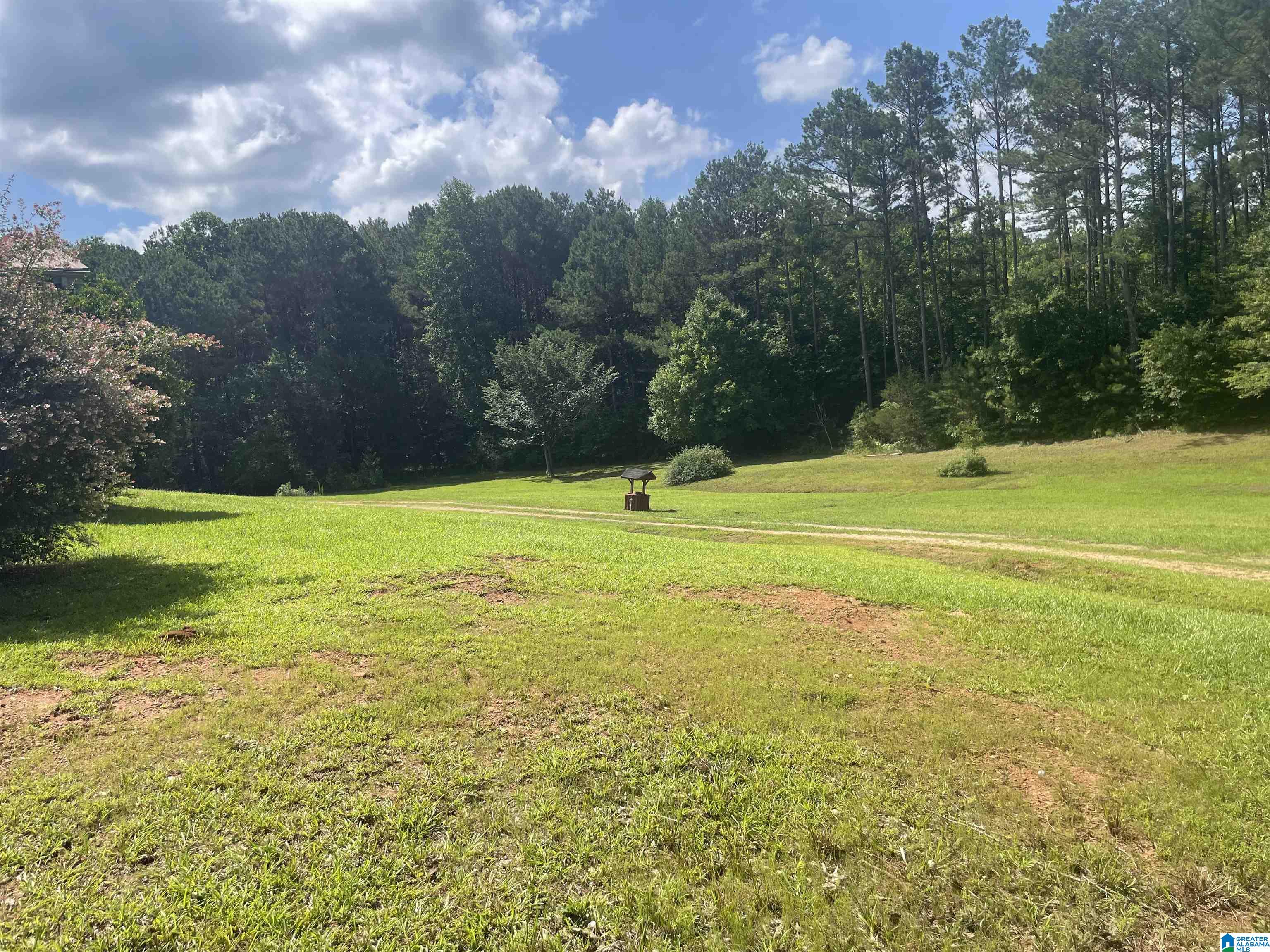 12636 Cragford Road Lineville, AL 36266 - Photo 27 of 29