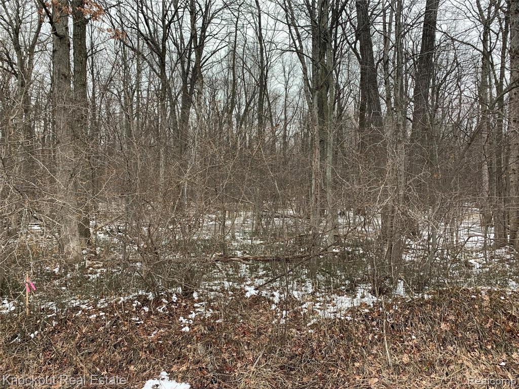 6200 Blackmar Road Bridgeport, MI 48722 - Photo 8 of 19 Gallery Image 8