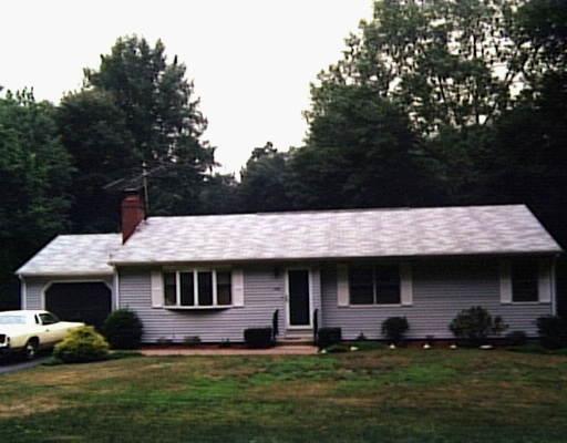a view of a yard with a large tree