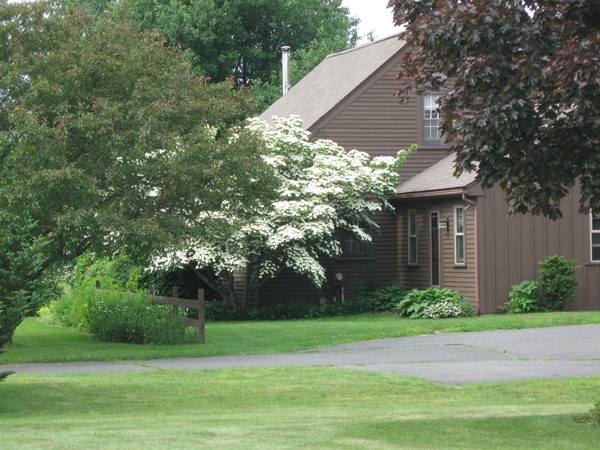 239 River Road Sunderland, MA 01375 - Photo 1 of 22