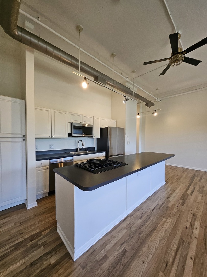 809 North Racine Avenue, Unit 203 Chicago, IL 60642 - Photo 10 of 22
