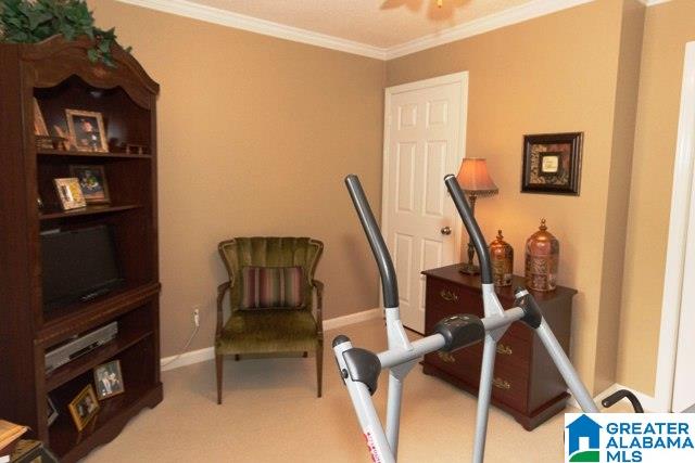 2771 Cedar Springs Road Jacksonville, AL 36265 - Photo 27 of 49