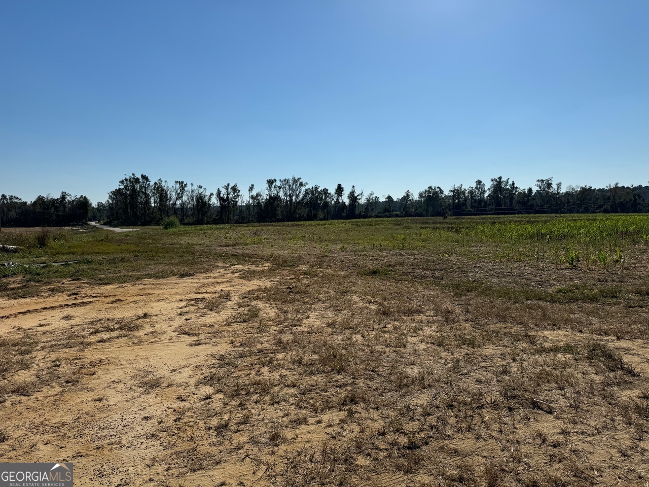 0 Pinetucky Road Wadley, GA 30477 - Photo 3 of 8 a view of an ocean