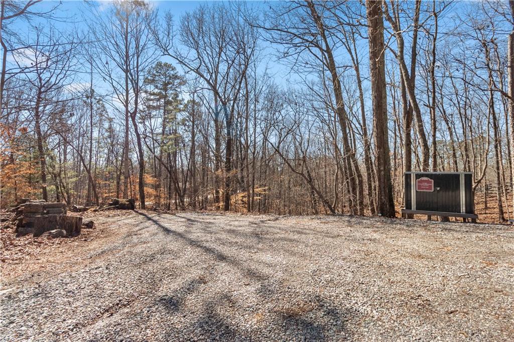 308 Hugh Stowers Road Dawsonville, GA 30534 - Photo 77 of 81 a backyard of a house with large trees