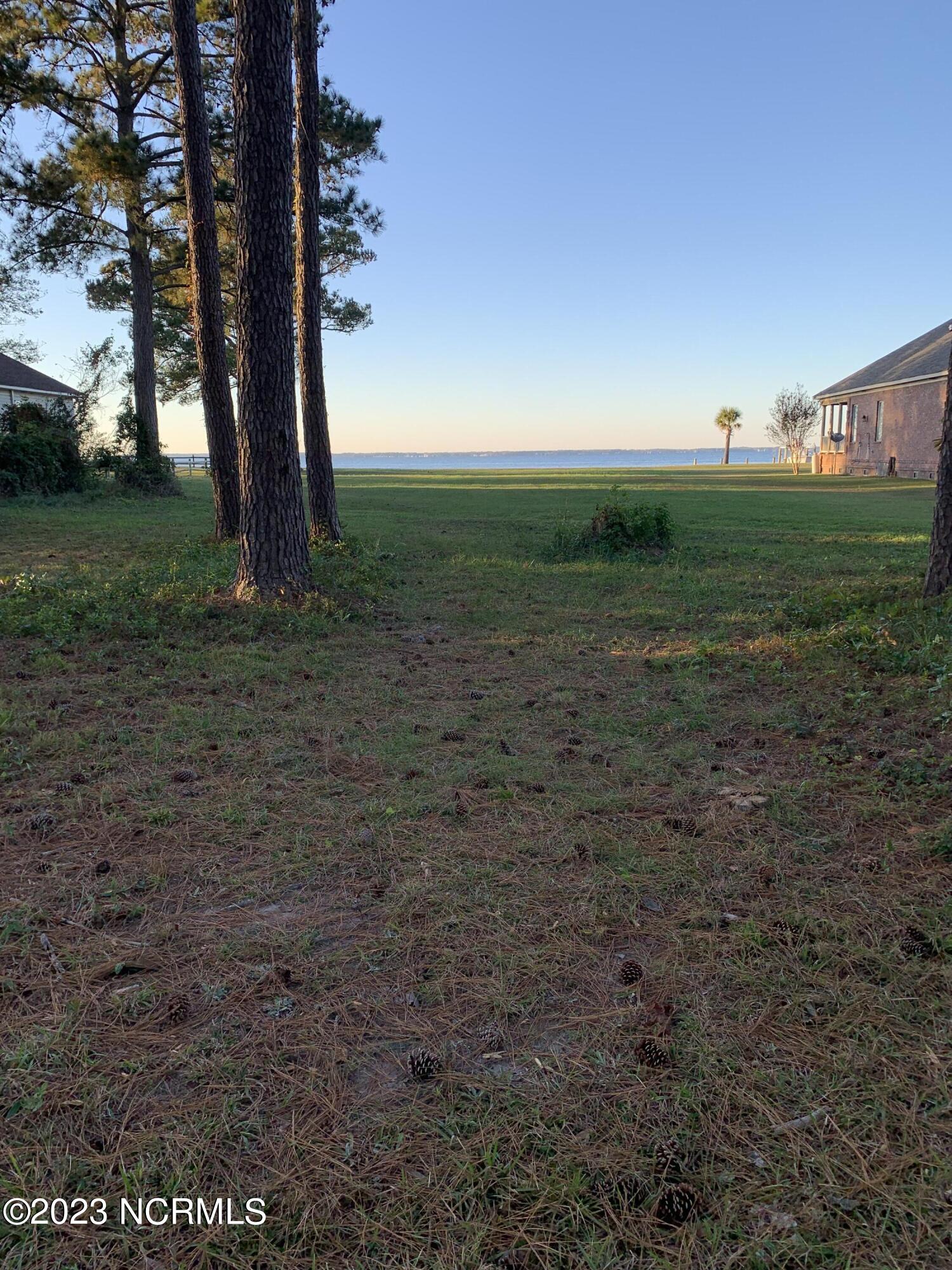 116 Moores Farm Road Havelock, NC 28532 - Photo 7 of 17 Future Driveway to Future House Clearing