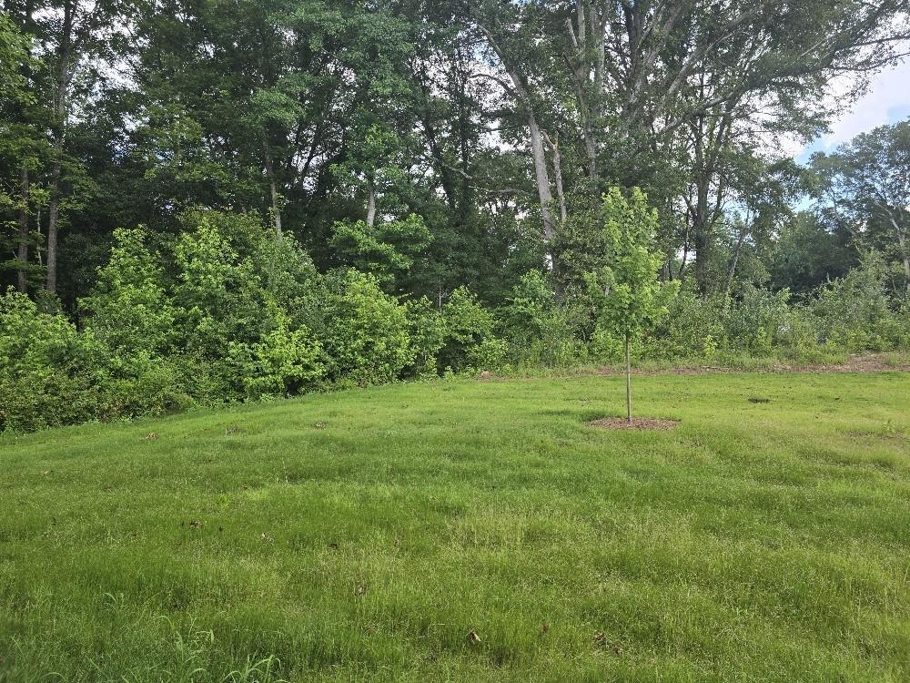 6190 Ripple Way, Unit 85 Atlanta, GA 30349 - Photo 16 of 16 a view of a grassy field with trees