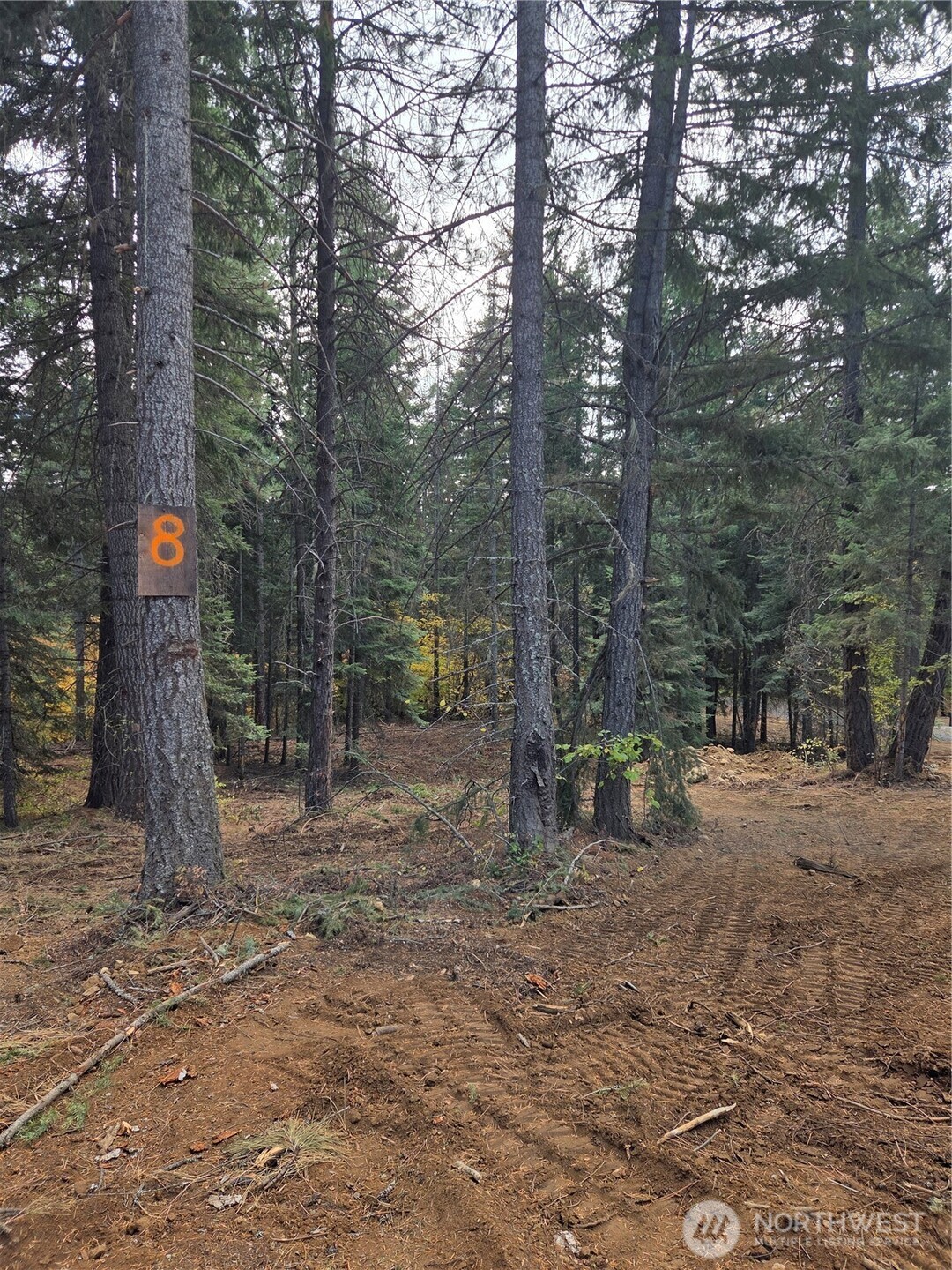 8 Double O Road Ronald, WA 98940 - Photo 1 of 19 Gallery Image 1