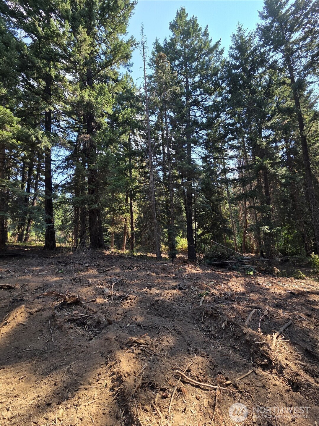 8 Double O Road Ronald, WA 98940 - Photo 2 of 19 Gallery Image 2