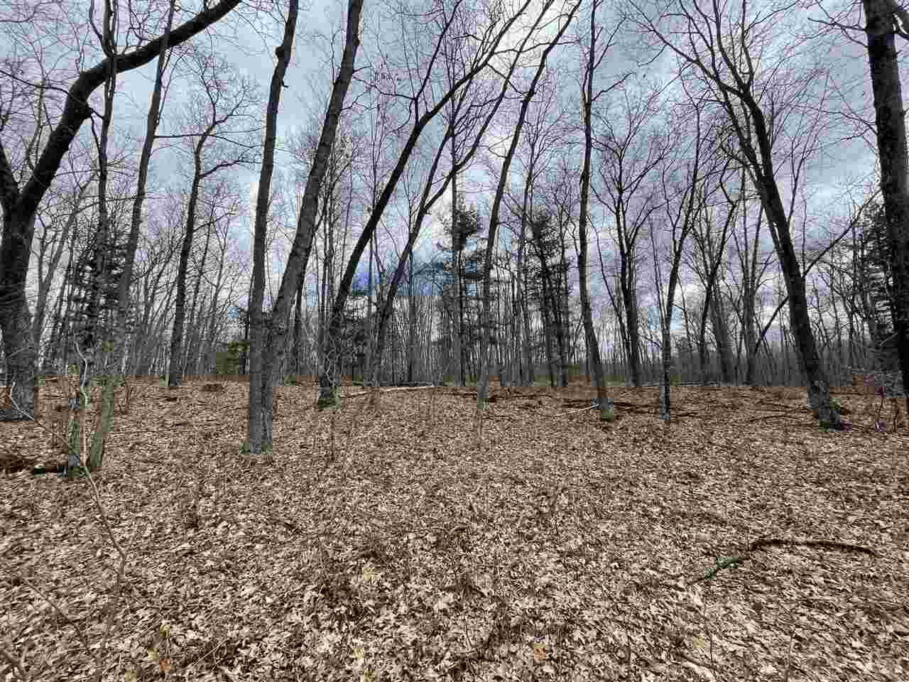 20 East A E Decker Rd Branch Branch, MI 49402 - Photo 15 of 31
