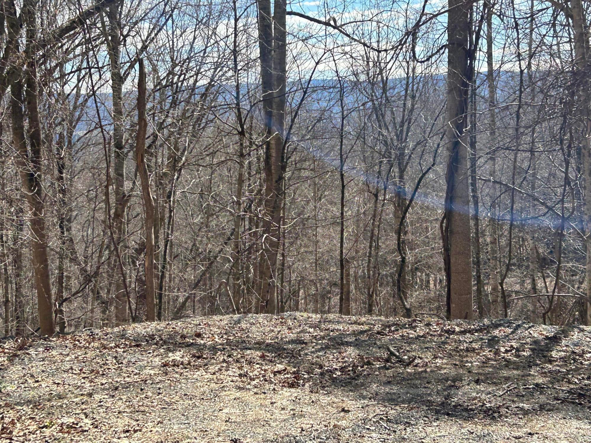 Kountz Rd Union Union, WV 24983 - Photo 42 of 48 Gallery Image 42