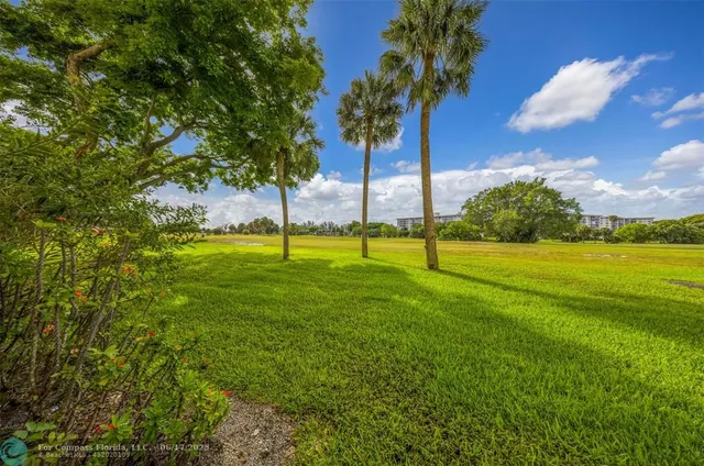 a view of a park with palm trees