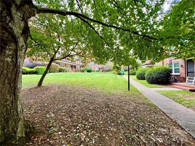 a view of a yard with plants and a trees