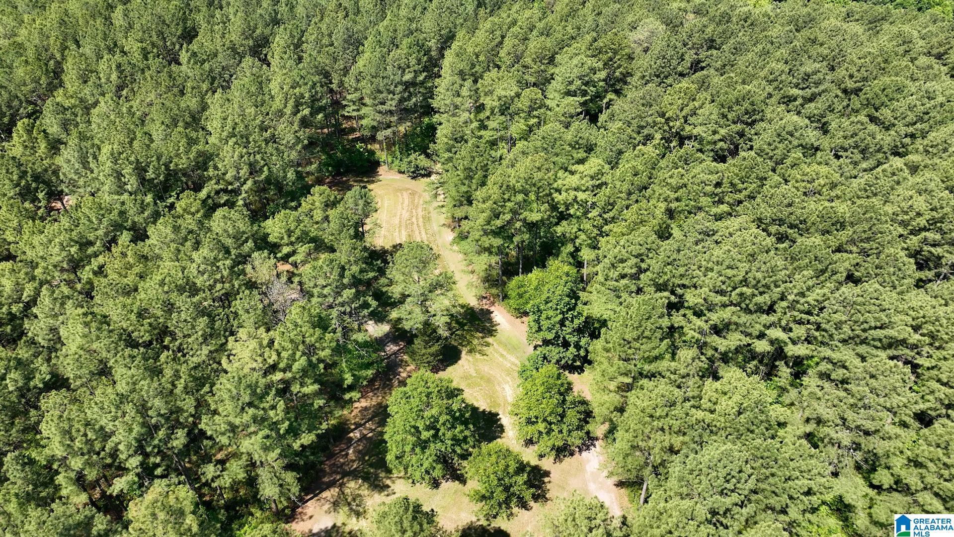 5145 Pine Mountain Road Remlap, AL 35133 - Photo 66 of 100
