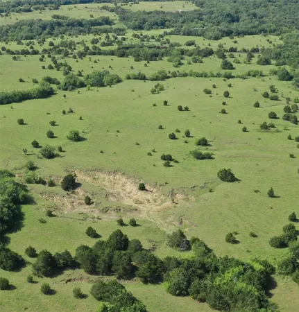 $355,315 | 703 County Road 703, Farmersville, TX 75442