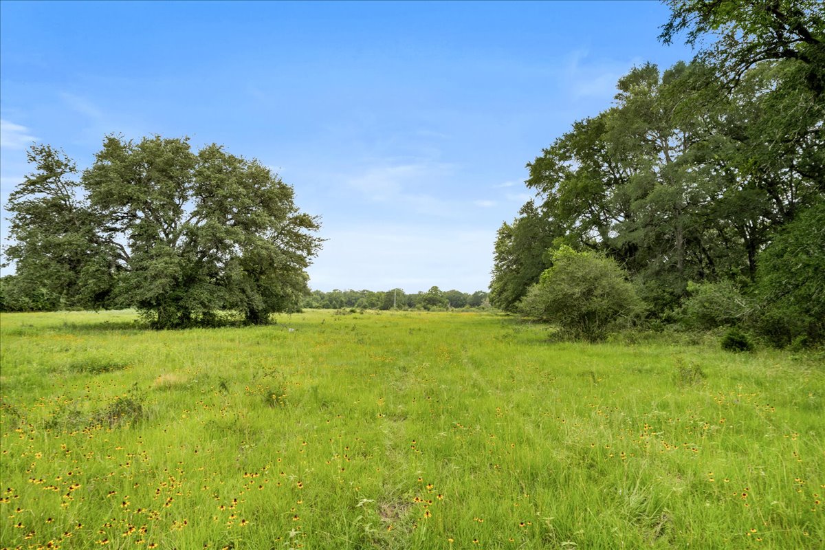 8413 Mach Road La Grange, TX 78945 - Photo 14 of 40