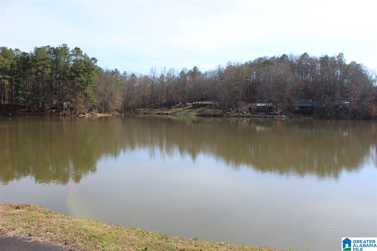 281 County Road 929 Delta, AL 36258 - Photo 48 of 49