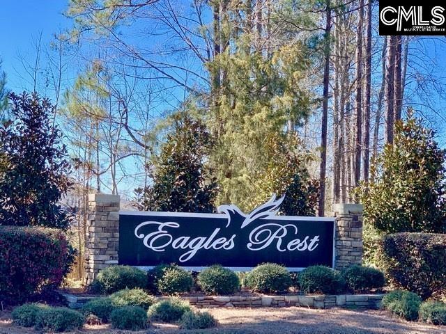 384 Explorer Drive Chapin, SC 29036 - Photo 29 of 32