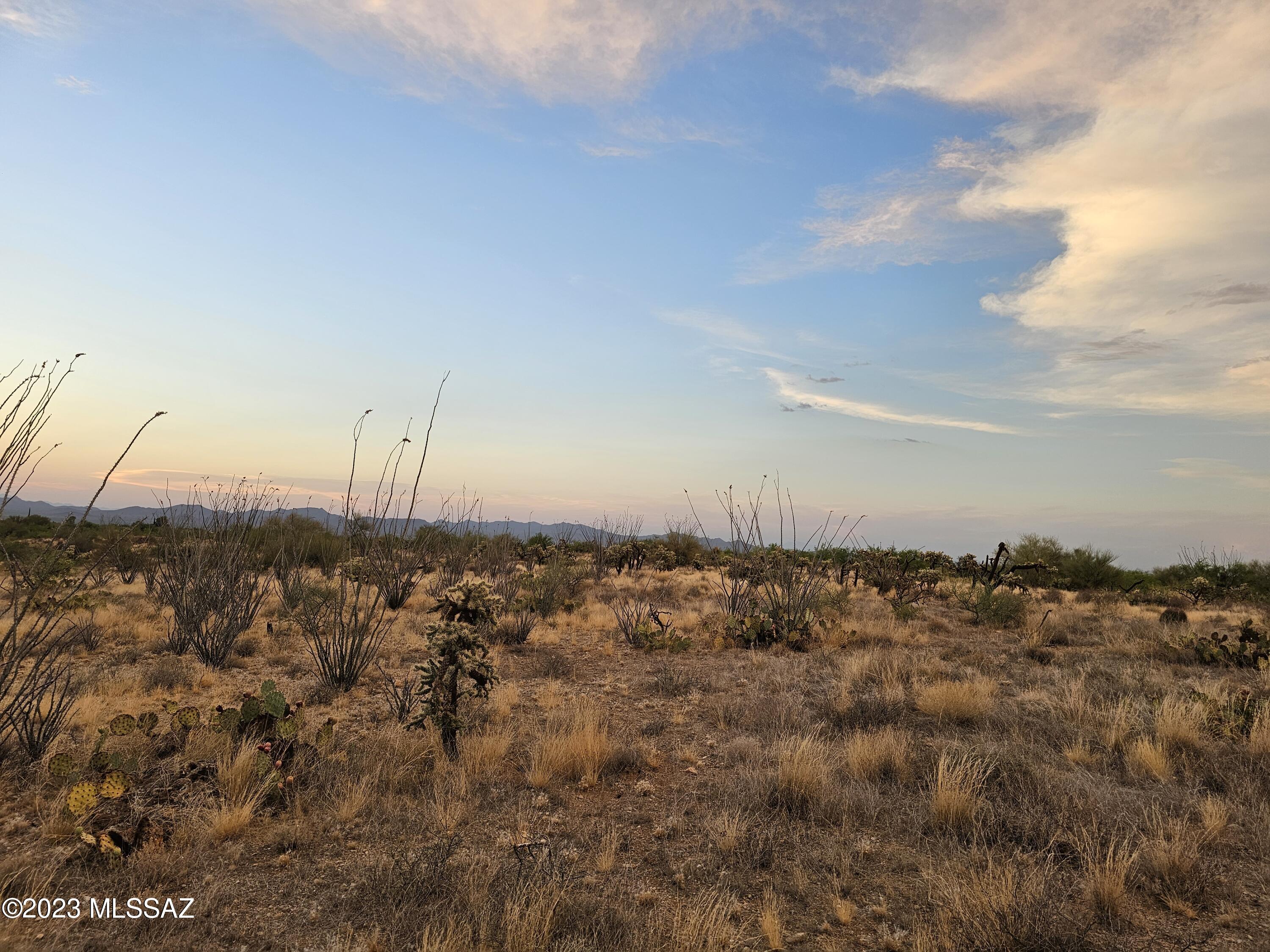 15380 West Diamond Bell Ranch Road, Unit 294 Tucson, AZ 85736 - Photo 8 of 9 Gallery Image 8