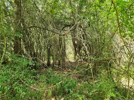 $145,000 | -tbd Parish Line Road, Deridder, LA 70634