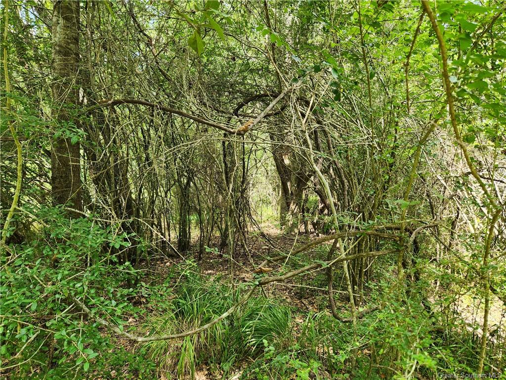 -tbd Parish Line Road Deridder, LA 70634 - Photo 2 of 6