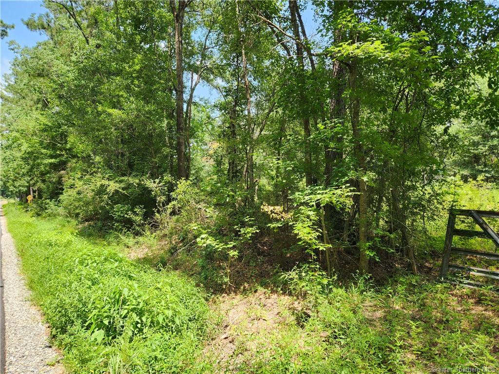 -tbd Parish Line Road Deridder, LA 70634 - Photo 3 of 6