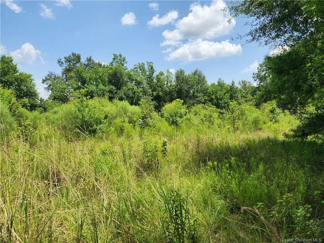 $145,000 | -tbd Parish Line Road, Deridder, LA 70634