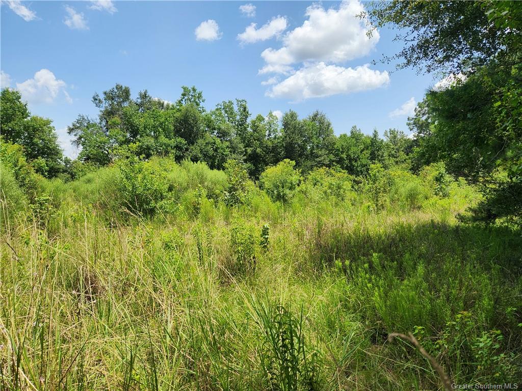 -tbd Parish Line Road Deridder, LA 70634 - Photo 4 of 6