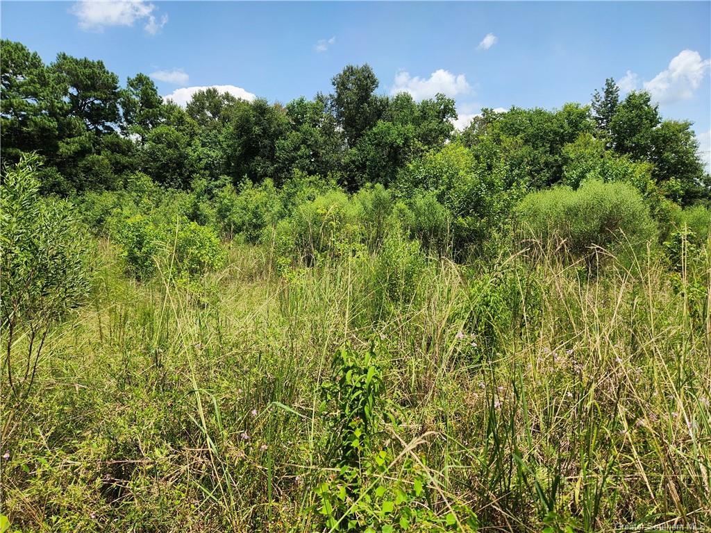 -tbd Parish Line Road Deridder, LA 70634 - Photo 5 of 6