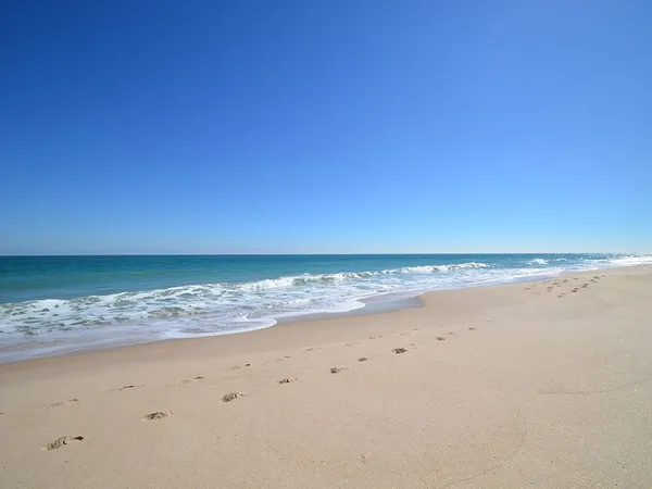 $6,000 | 5680 Jimmy Buffett Mem Highway, Unit 111, Vero Beach, FL 32963