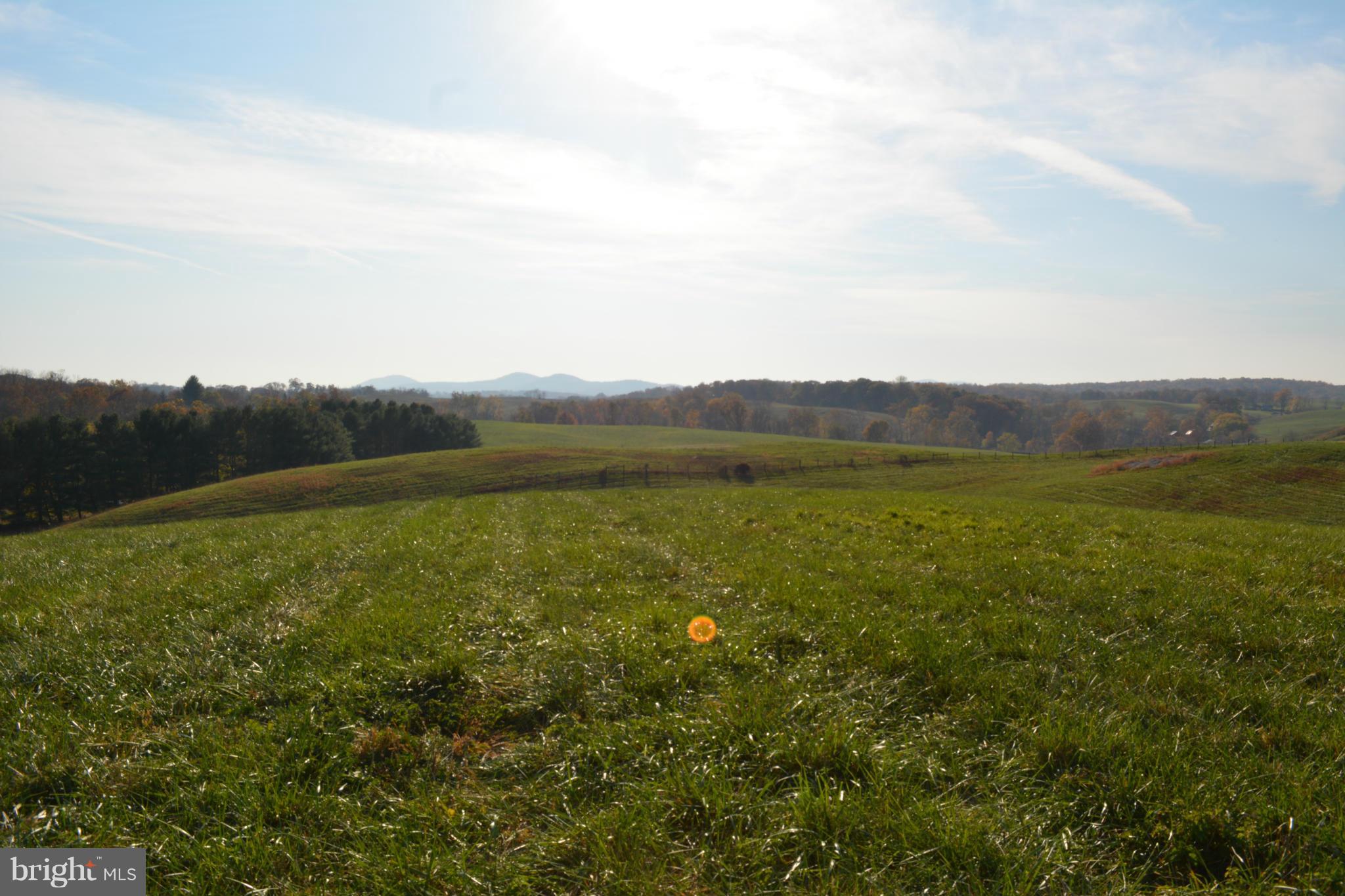 Rectortown Road Upperville, VA 20184 - Photo 3 of 7 View of the Mountains to the Southwest
