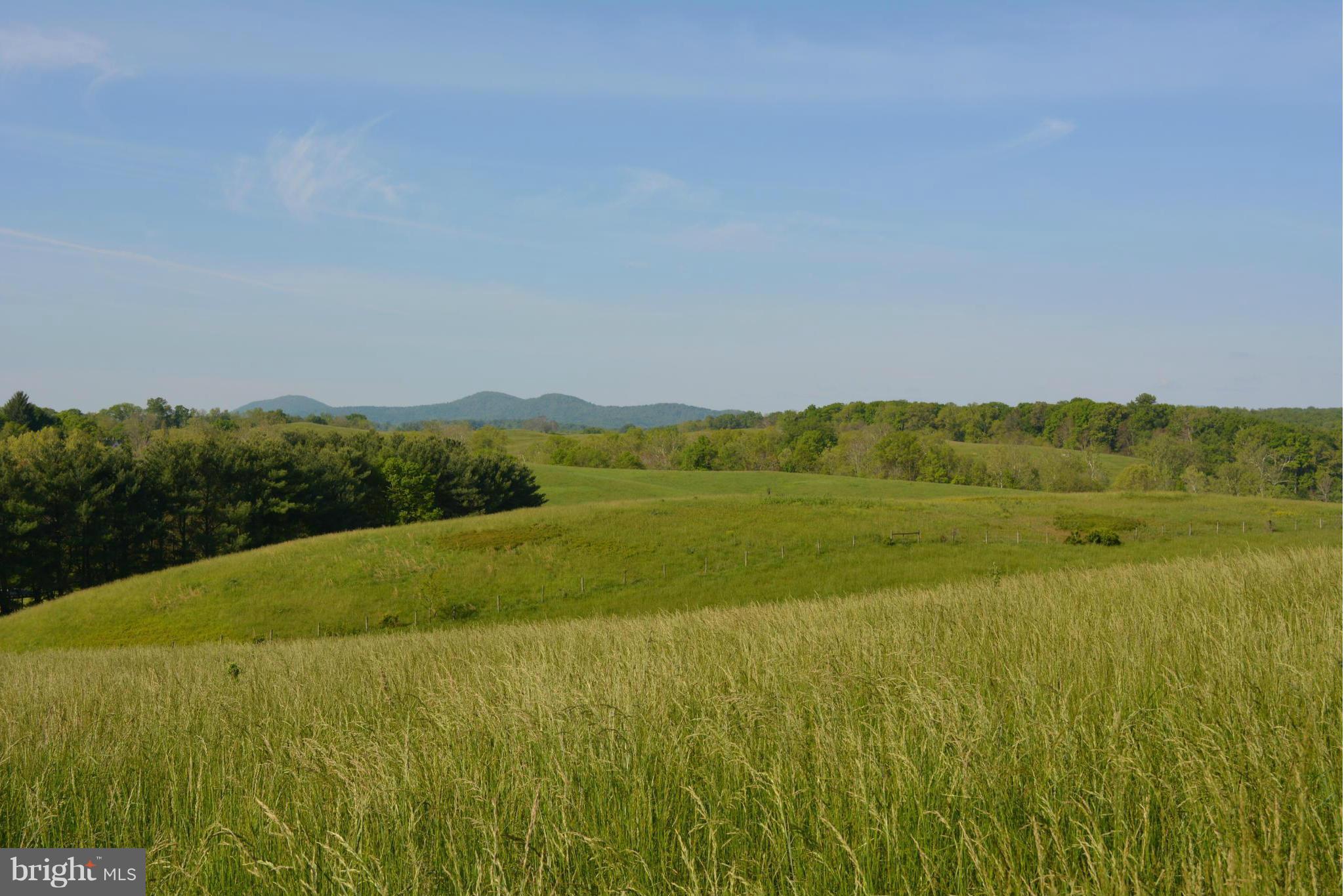 Rectortown Road Upperville, VA 20184 - Photo 6 of 7 View