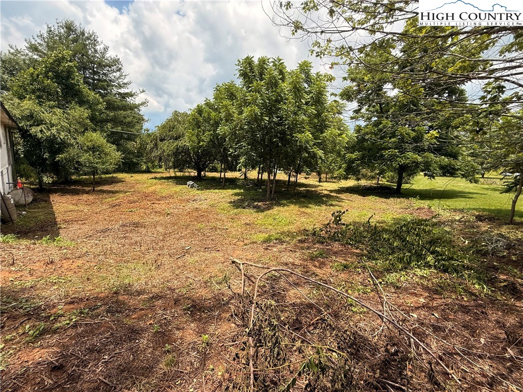 147 Greensboro Road Crumpler, NC 28617 - Photo 6 of 7 Gallery Image 6