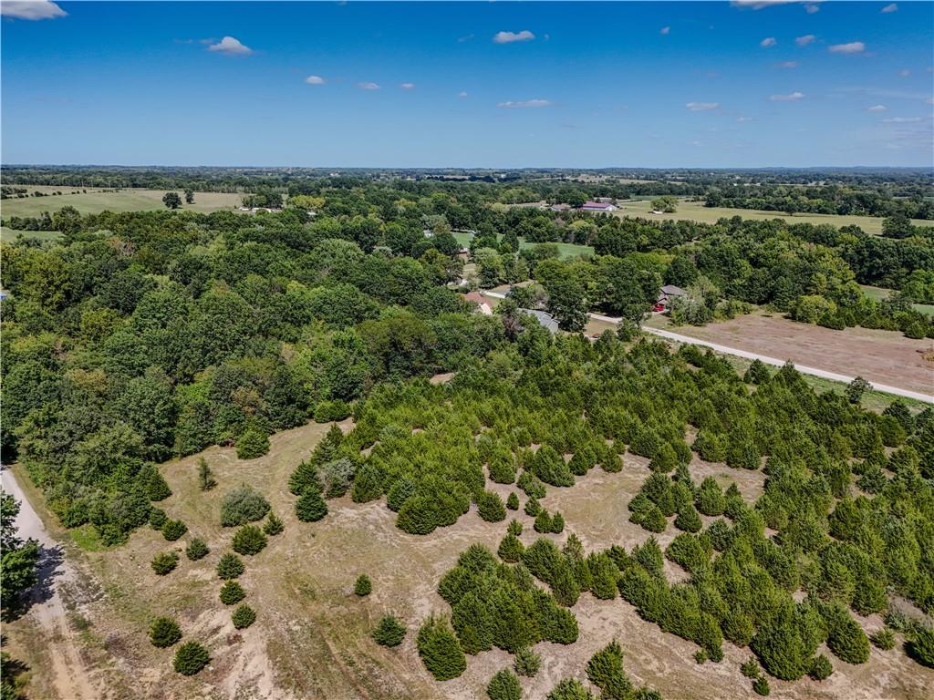 Lot 52 Northeast 51st Road Warrensburg, MO 64093 - Photo 5 of 23 Gallery Image 5