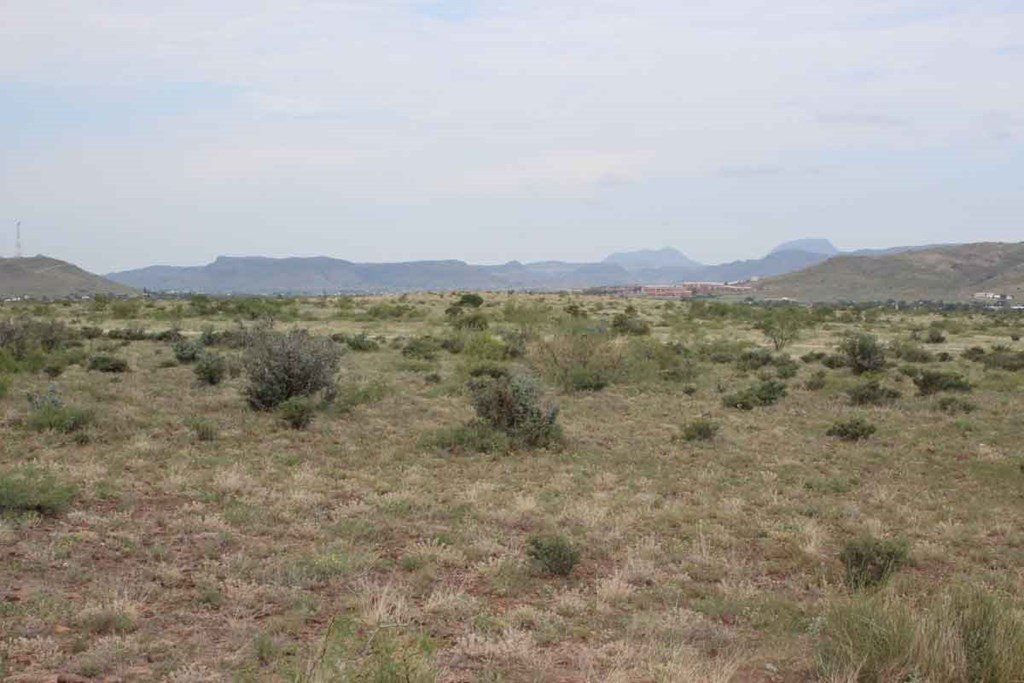 15 R Sierra La Rana Alpine, TX 79830 - Photo 6 of 8 Photo 6