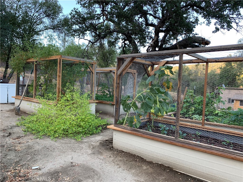 29555 Wyle Ranch Road North Fork, CA 93643 - Photo 60 of 70