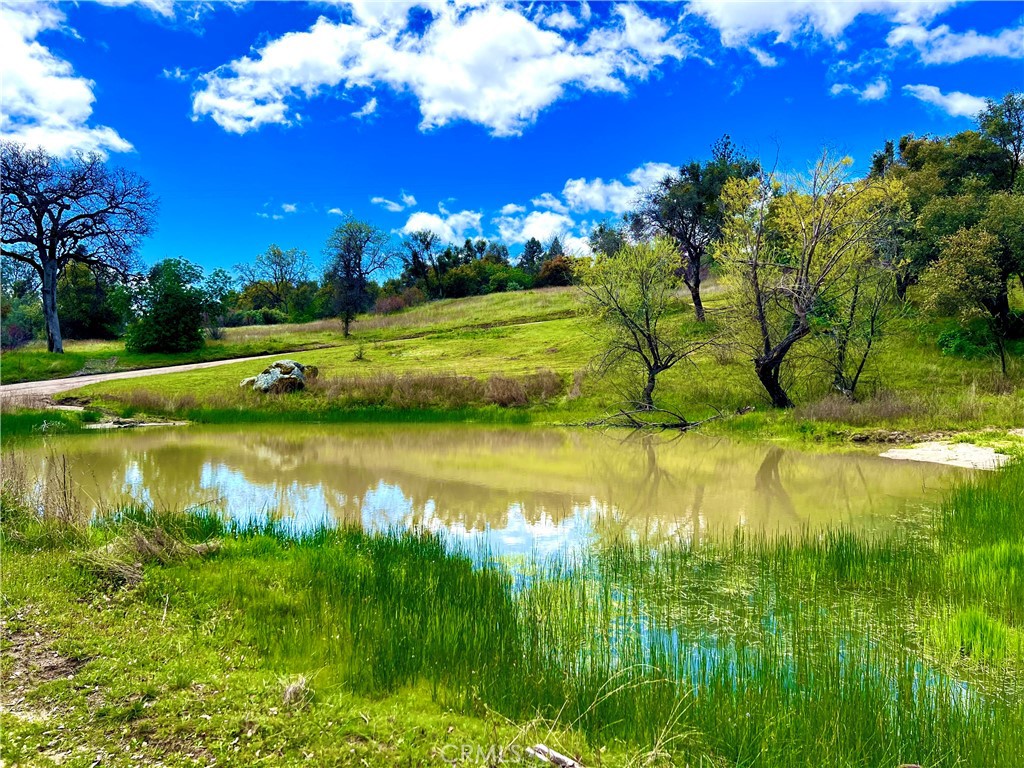 29555 Wyle Ranch Road North Fork, CA 93643 - Photo 63 of 70