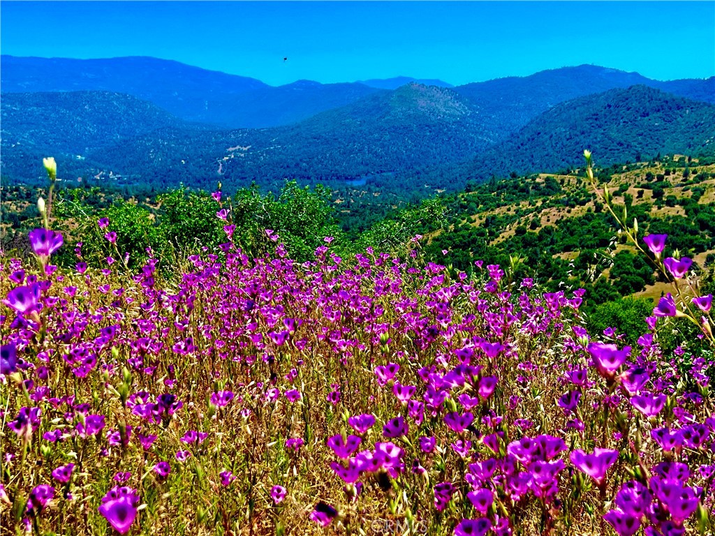 29555 Wyle Ranch Road North Fork, CA 93643 - Photo 64 of 70