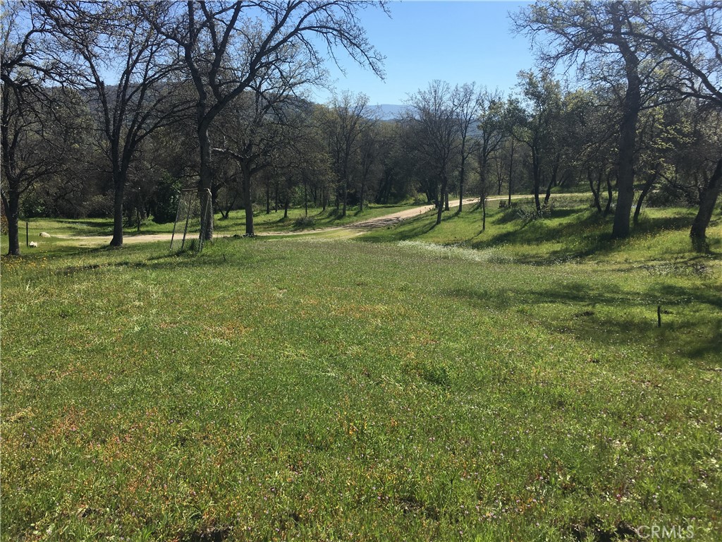 29555 Wyle Ranch Road North Fork, CA 93643 - Photo 65 of 70 a view of a park with large trees