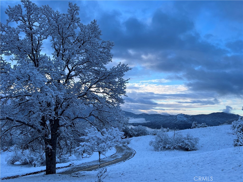 29555 Wyle Ranch Road North Fork, CA 93643 - Photo 68 of 70