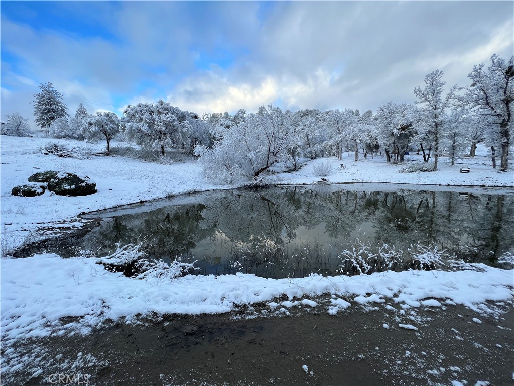 29555 Wyle Ranch Road North Fork, CA 93643 - Photo 70 of 70 a view of a yard with mountain