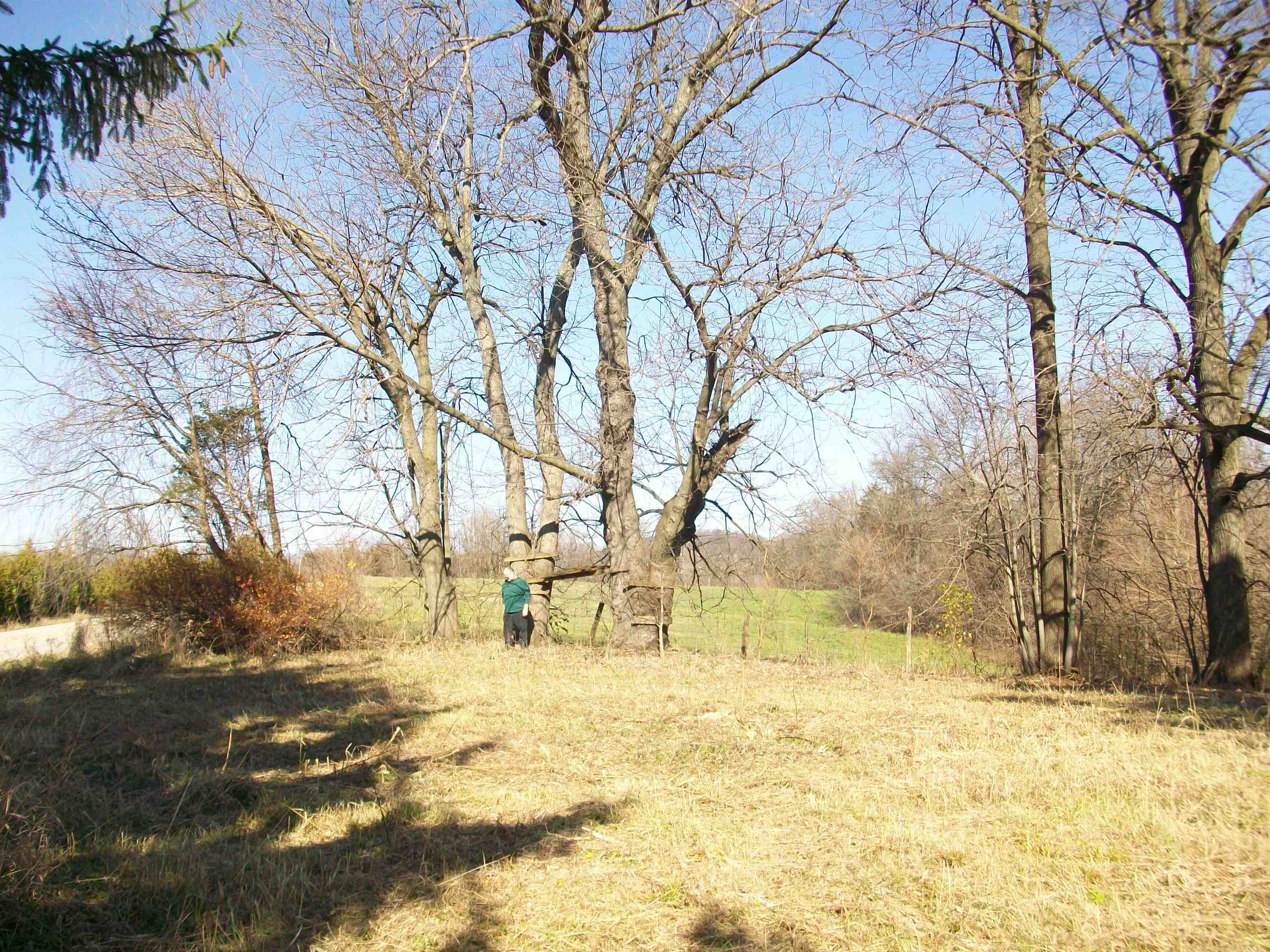 605 North Blackjack Road Galena, IL 61036 - Photo 3 of 11 a view of yard covered with snow