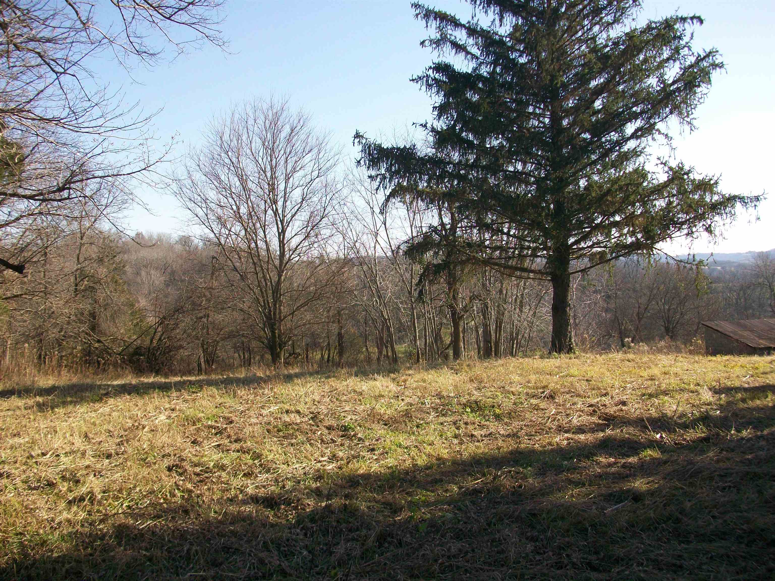 605 North Blackjack Road Galena, IL 61036 - Photo 5 of 11 a view of a yard covered with snow