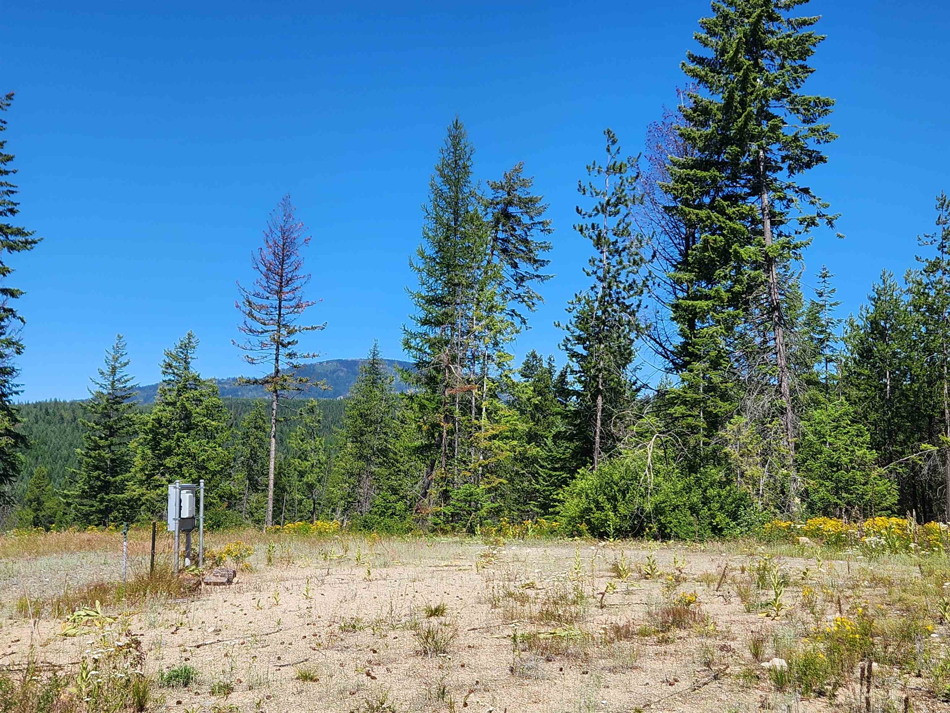 1492 Portrait Way Colville, WA 99114 - Photo 9 of 20