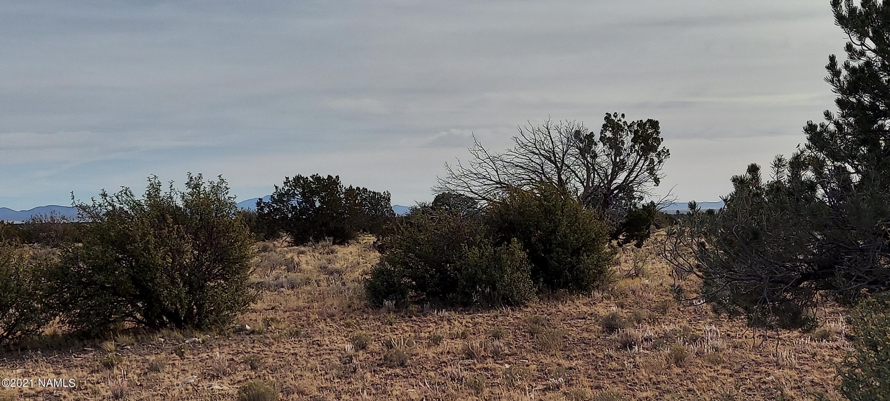 1910 Red Butte Road Williams, AZ 86046 - Photo 23 of 30 20211119_143606
