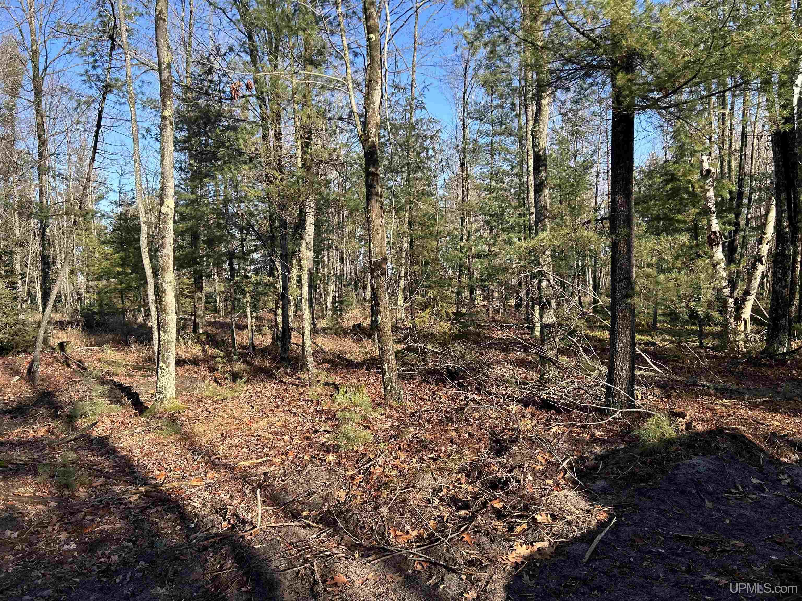 Tbd Tbd Old State South Parcel L Road Escanaba, MI 49829 - Photo 2 of 4