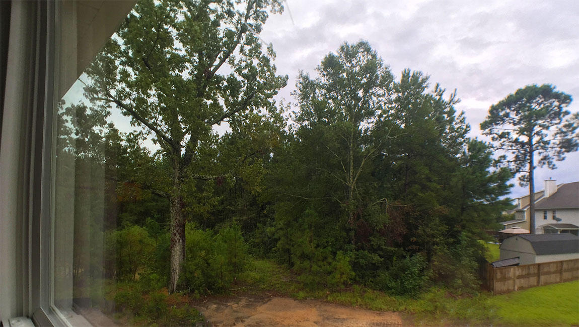 203 Cypress Marsh Road Moncks Corner, SC 29461 - Photo 6 of 53 Wooded Privacy Backyard