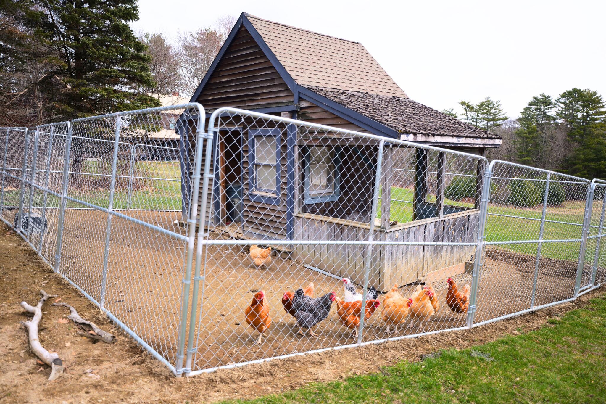 286 Wiscasset Road Whitefield, ME 04353 - Photo 24 of 40 Chicken Shed (1)