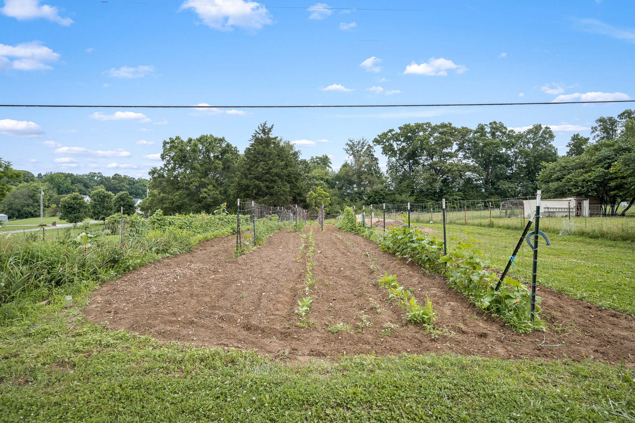 5825 Cobb Hollow Road Tullahoma, TN 37388 - Photo 62 of 72 Gallery Image 62