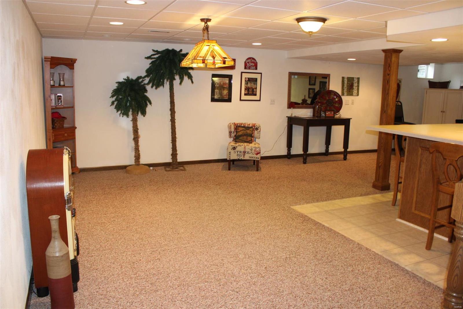 205 Hickory Ridge Belleville, IL 62223 - Photo 42 of 47 Gallery Image 42