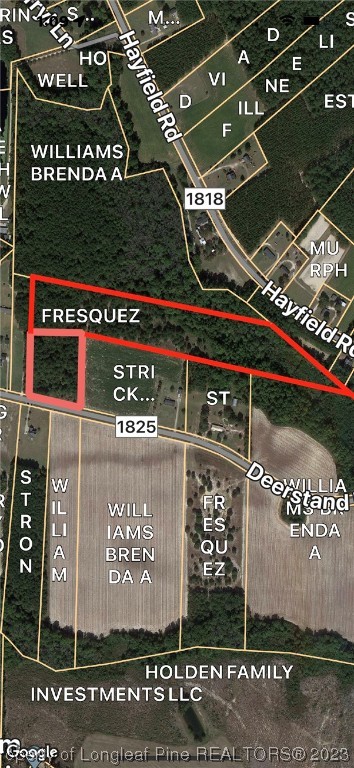 19.95-acres Deerstand Road Wade, NC 28395 - Photo 1 of 5 Gallery Image 1